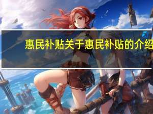惠民补贴 关于惠民补贴的介绍