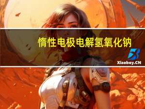 惰性电极电解氢氧化钠（惰性电极）