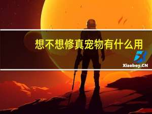 想不想修真宠物有什么用