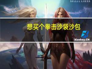 想买个拳击沙袋沙包，选哪个品牌好，家里用的