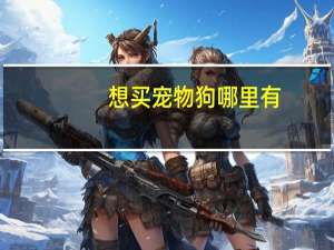 想买宠物狗哪里有