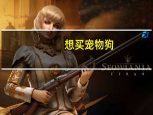 想买宠物狗