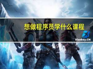 想做程序员学什么课程