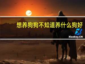想养狗狗不知道养什么狗好