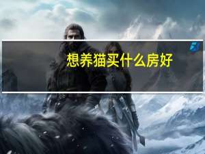 想养猫买什么房好