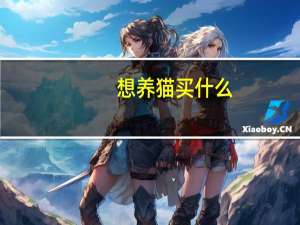 想养猫买什么