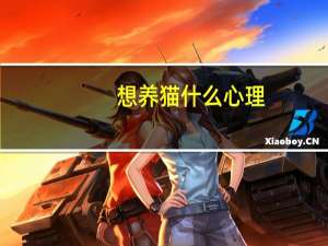 想养猫什么心理