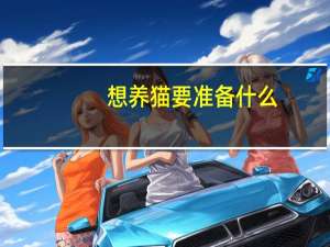 想养猫要准备什么