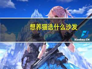 想养猫选什么沙发