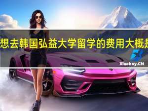 想去韩国弘益大学留学的费用大概是多少