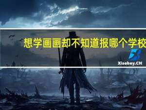 想学画画 却不知道报哪个学校，怎么考！！！！！求助啊