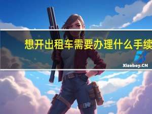 想开出租车需要办理什么手续（开出租车需要什么条件 办理什么手续）