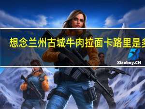 想念 兰州古城牛肉拉面卡路里是多少