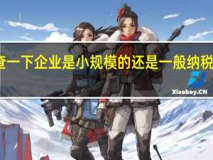 想查一下企业是小规模的还是一般纳税人怎么查