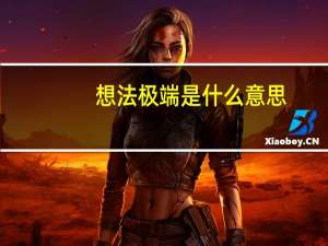 想法极端是什么意思