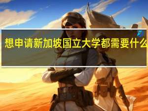 想申请新加坡国立大学都需要什么条件