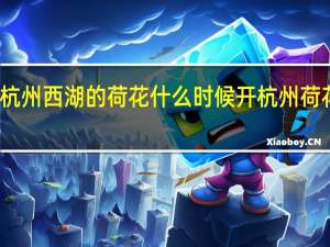 想知道杭州西湖的荷花什么时候开 杭州荷花什么时候开
