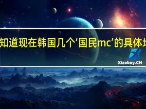 想知道现在韩国几个‘国民mc’的具体地位情况