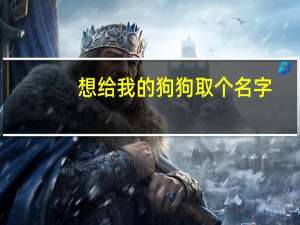 想给我的狗狗取个名字