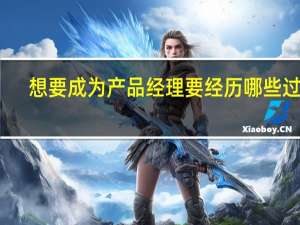 想要成为产品经理要经历哪些过程