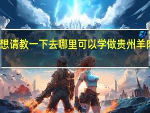 想请教一下去哪里可以学做贵州羊肉米粉