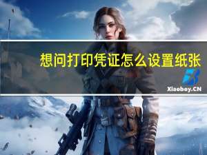 想问打印凭证怎么设置纸张