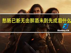 愁肠已断无由醉酒未到先成泪什么意思