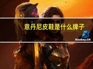 意丹尼皮鞋是什么牌子