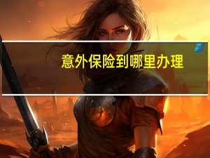 意外保险到哪里办理