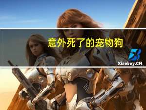 意外死了的宠物狗