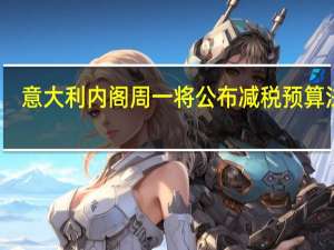 意大利内阁周一将公布减税预算法案