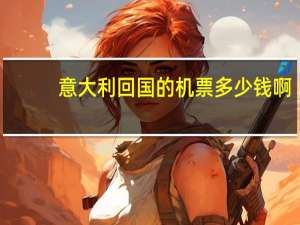 意大利回国的机票多少钱啊