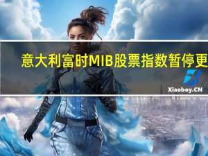 意大利富时MIB股票指数暂停更新