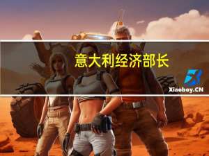 意大利经济部长：政府正在与德国合作就欧盟预算规则改革达成协议