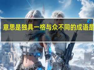 意思是独具一格与众不同的成语是什么