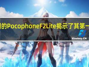 意想不到的Pocophone F2 Lite揭示了其第一个功能和图像