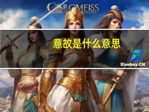 意故是什么意思