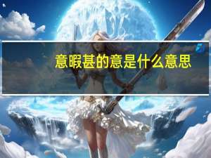 意暇甚的意是什么意思