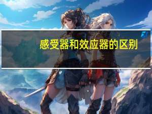 感受器和效应器的区别