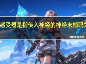 感受器是指传入神经的神经末梢吗为什么（感受器）