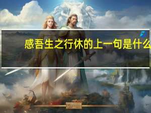 感吾生之行休的上一句是什么