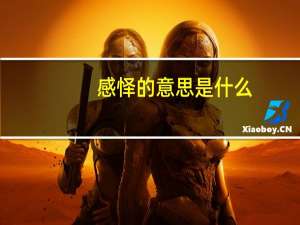 感怿的意思是什么