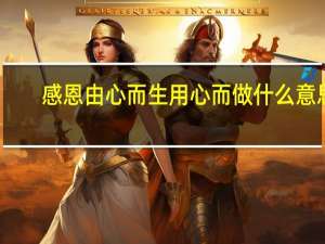 感恩由心而生用心而做什么意思