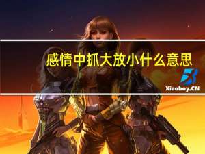 感情中抓大放小什么意思