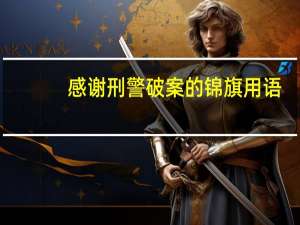 感谢刑警破案的锦旗用语