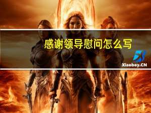 感谢领导慰问怎么写