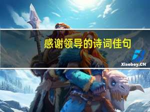 感谢领导的诗词佳句