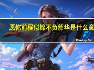 愿你前程似锦不负韶华是什么意思