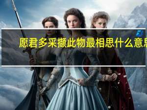 愿君多采撷此物最相思什么意思（愿君多采撷）