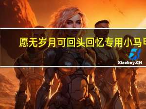 愿无岁月可回头回忆专用小马甲（愿无岁月可回头）